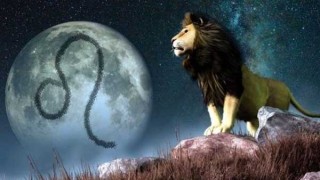 В сезона на зодия Лъв сме: Какви са чертите на този горделив знак?