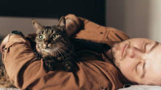 Защо е полезно котката да спи в леглото ви?