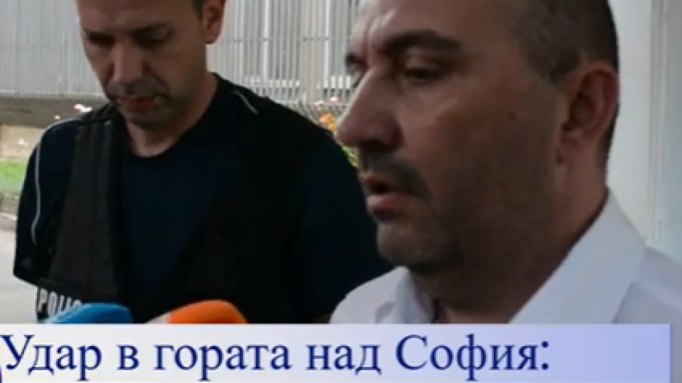 Удар в гората над София: Полицията разби тайна фабрика за тютюн – трима в ареста, над 200 кг иззети!