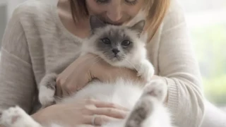 Каква порода котка подхожда на зодията ви?