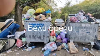 София пламна от боклук и зарази. Терзиев, тръгвай си! (СНИМКИ)