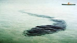 И в Черно море: Невероятно мистериозно чудовище пори водите му