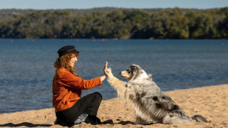 Обичате ли да оставате сам: Вие сте специален! Ето защо