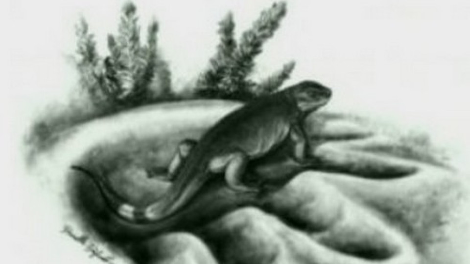 Учени сензационно: Откриха прародителя на тревопасните животни