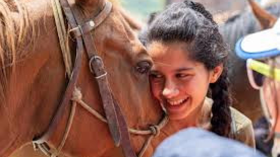 Истина е: Ето на какви ценни уроци ни учат животните?