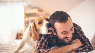 Познаваме ли своето куче? По кои знаци разбираме, че ни обича