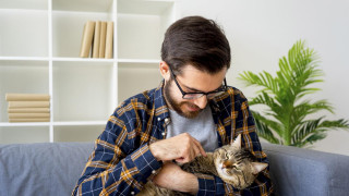 Учени взривиха: Съществува генетично родство между човека и котките