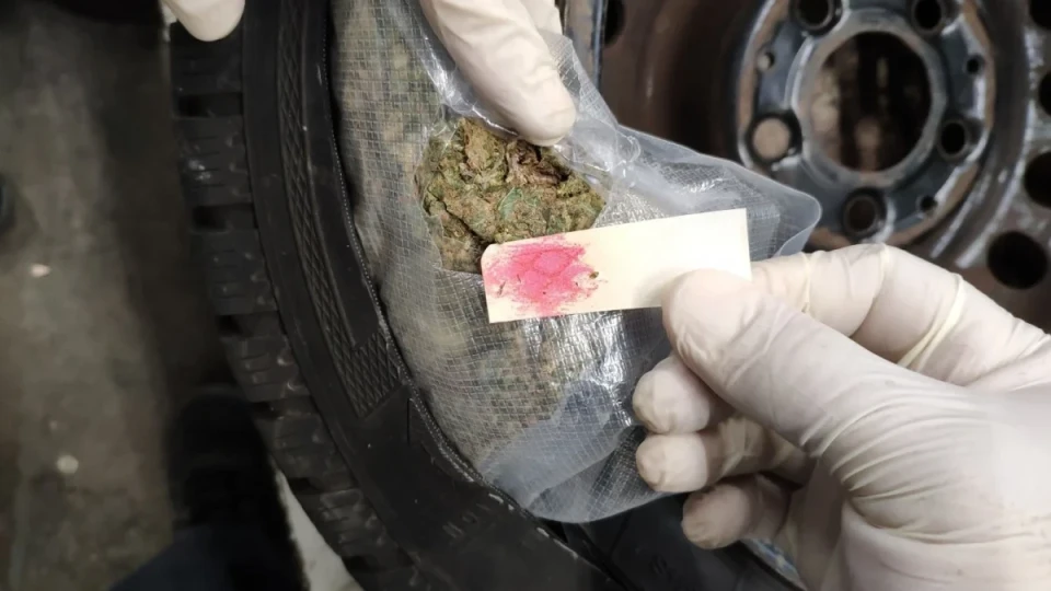 Арестуваха сина на Бобоков в Пампорово заради дрога