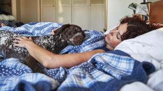Полезно ли е да спим с домашните любимци? И кога не е