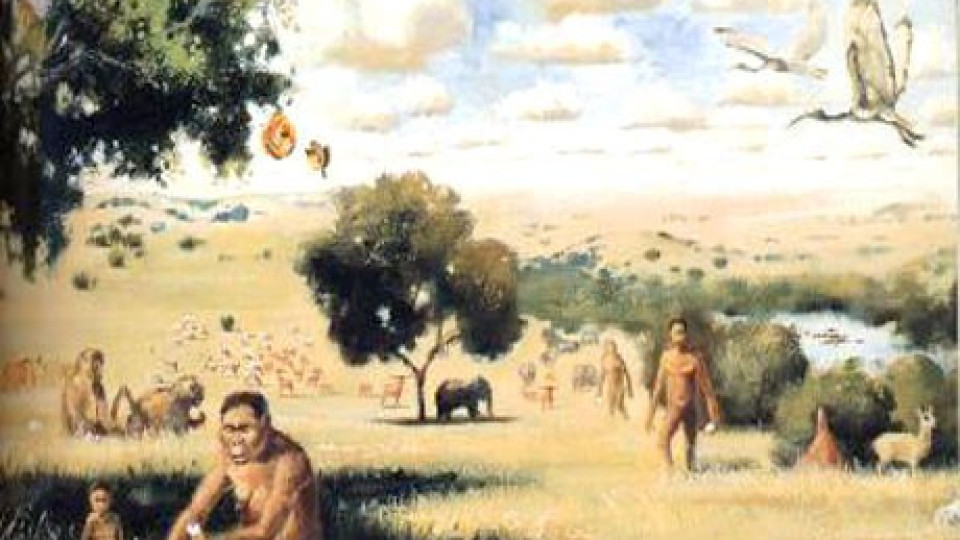 Учените със сензационно откритие: Откриха фосили на над два милиона години