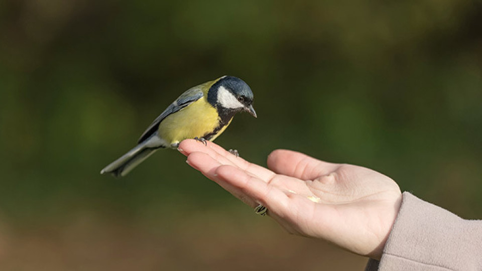 Дори със затворени очи! На тези зодии можеш да им се довериш за всичко
