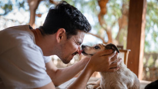 Кучетата са непризнати герои! Ето какво още дават на човека, освен любов