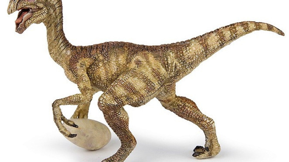 Джурасик парк оживява! Откриха яйце на динозавър, готово да се излюпи