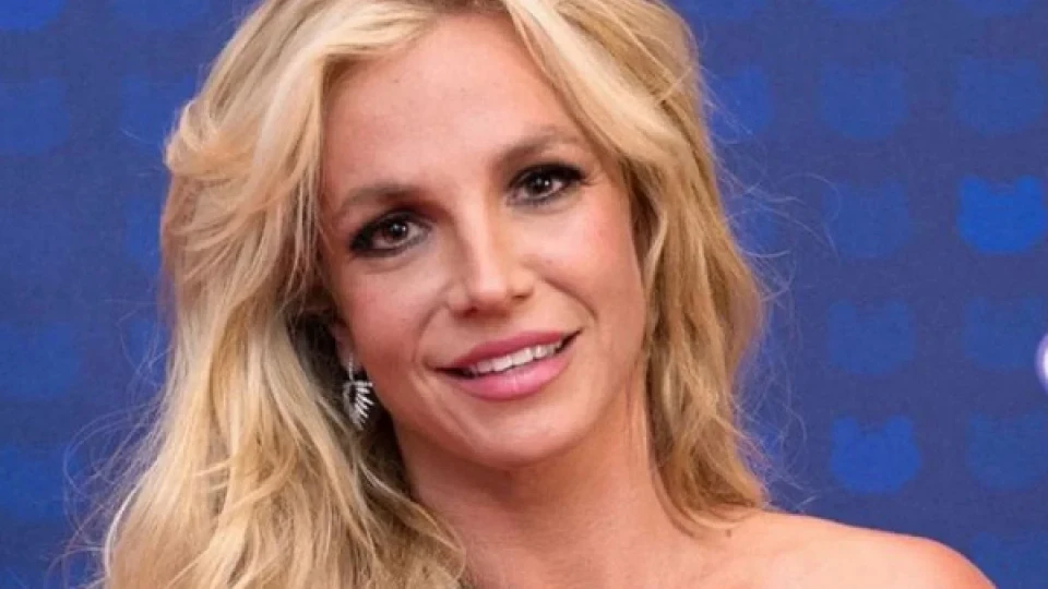 Бритни Спиърс арестувана в Калифорния: Феновете в шок